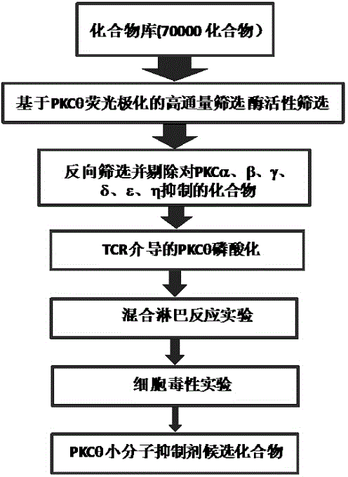 Novel PKC theta small-molecule inhibitor for inhibiting graft-versus-host diseases