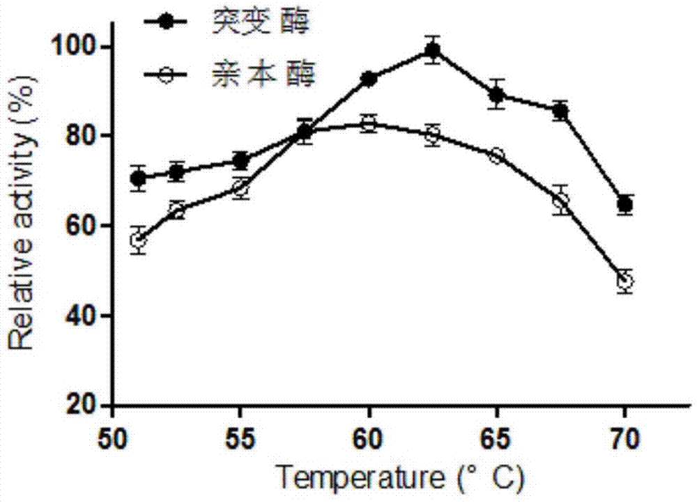 Preparation method and application of pullulanase mutant PulB-d99-D436H