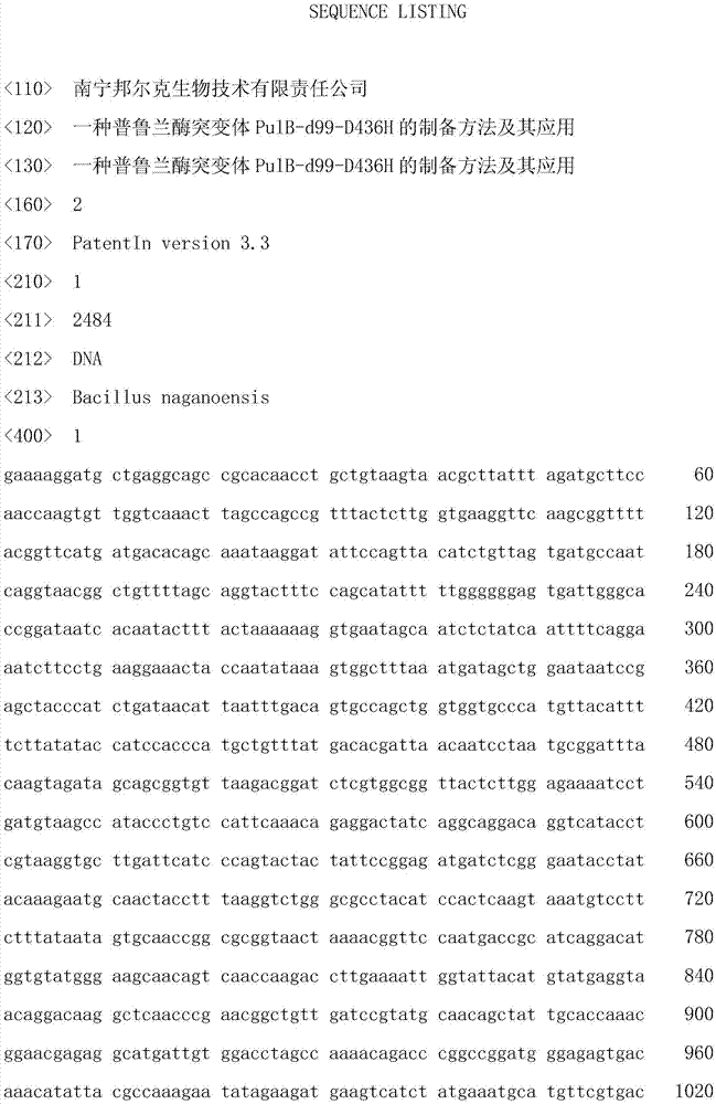 Preparation method and application of pullulanase mutant PulB-d99-D436H