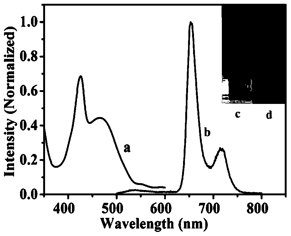 Preparation and application of photoelectricity and temperature dual-signal response sialic acid bio-sensor based on polymer dots