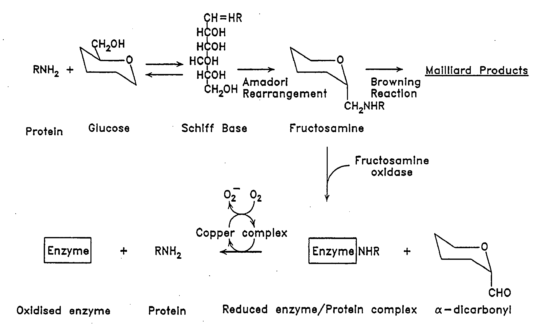 Treatment of diabetes with copper bunding compounds