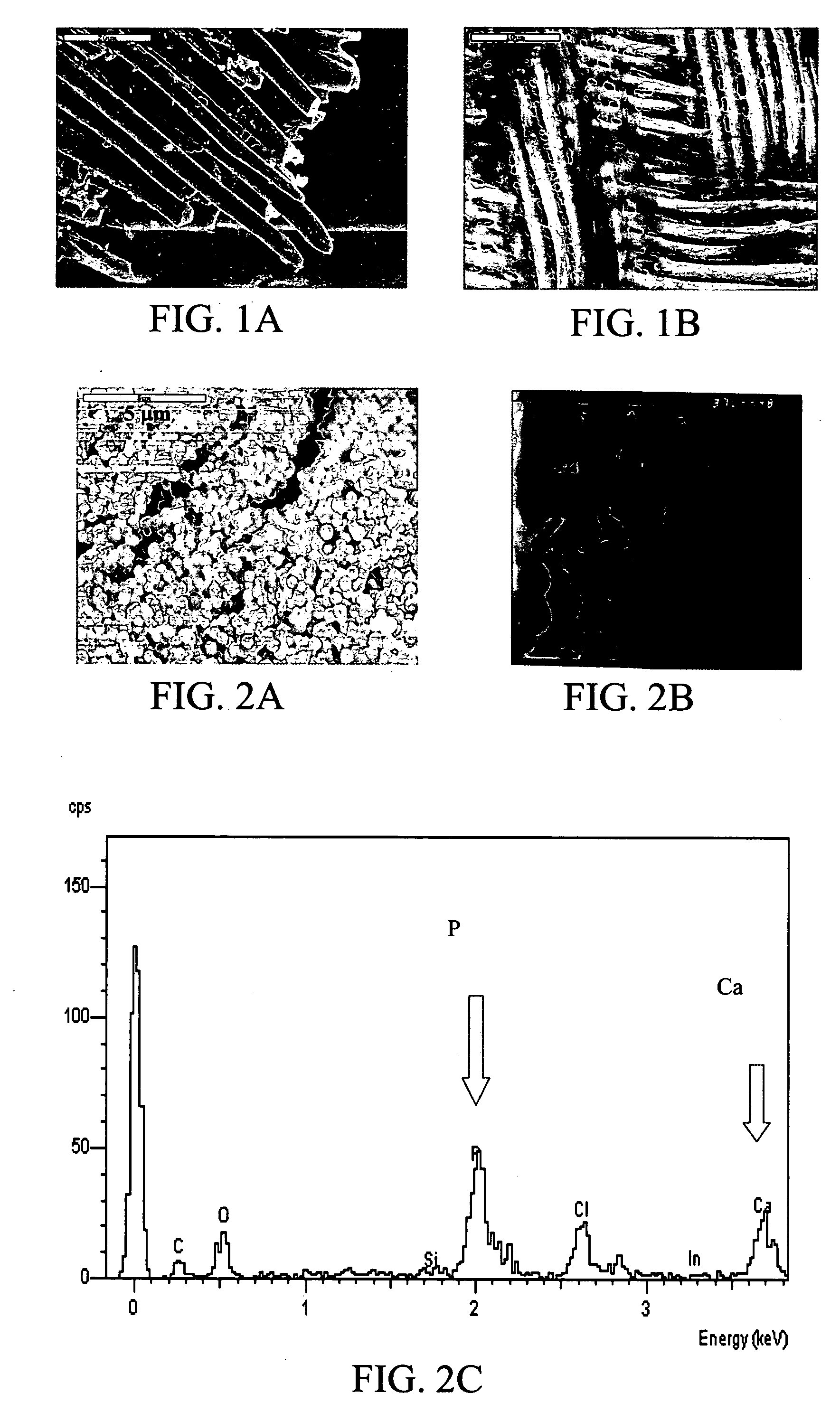 Biomimetic organic/inorganic composites, processes for their production, and methods of use