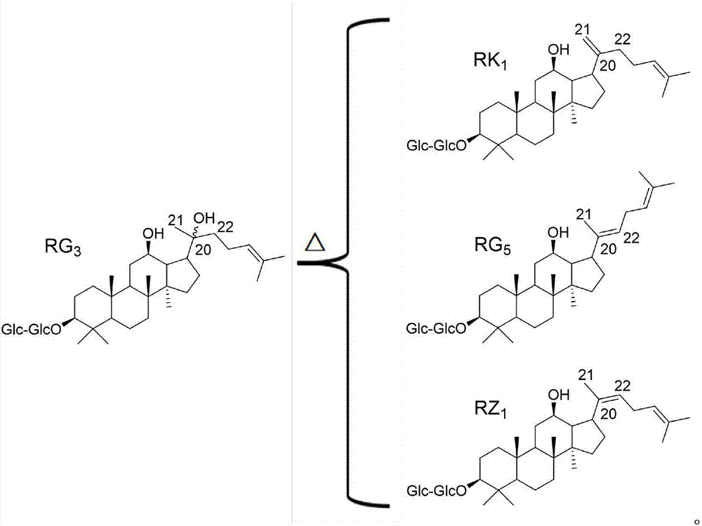 Ginsenoside RZ1 solid dispersion and preparation method thereof