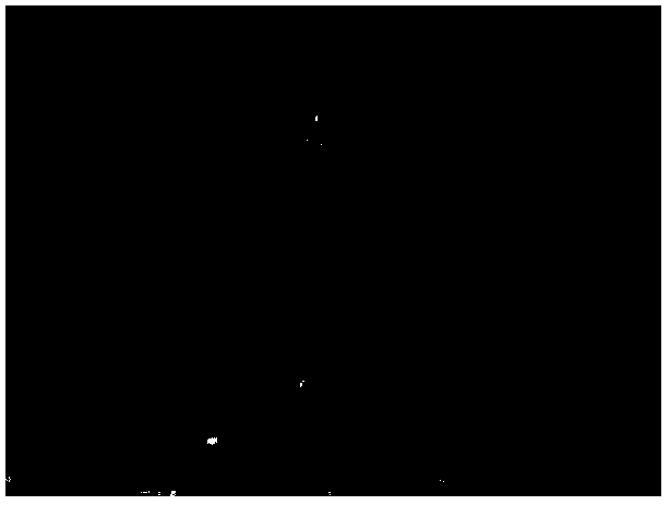 An Objective Evaluation Method of Stereoscopic Image Quality Based on Visual Characteristics