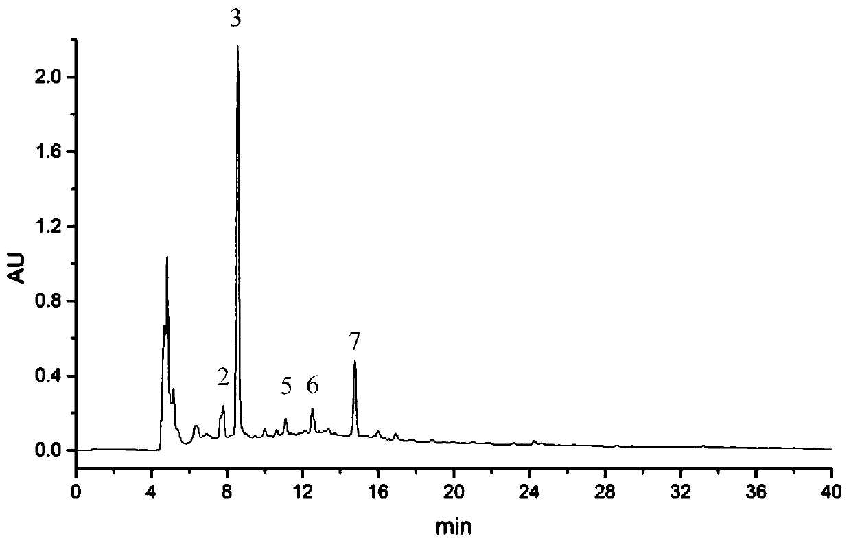 Method for improving bioavailability of apple juice polyphenol