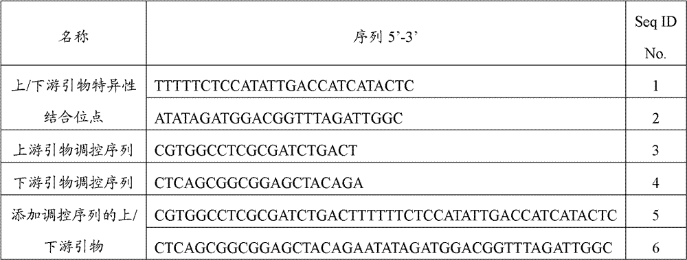 PCR-DHPLC (polymerase chain reaction-denaturing high performance liquid chromatography) detection primer and detection method for genetically modified maize strain MON89034