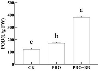 Method for relieving pesticide stress of pseudo-ginseng and reducing pesticide residues by brassinolide