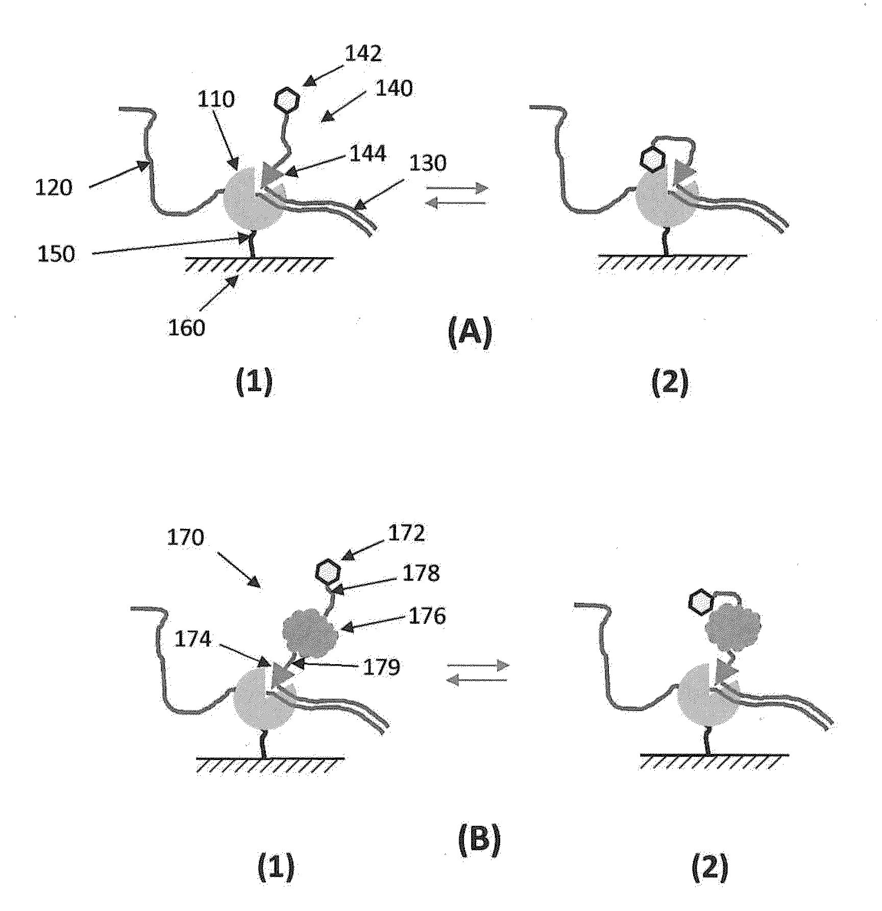 Polymerase enzyme substrates with protein shield