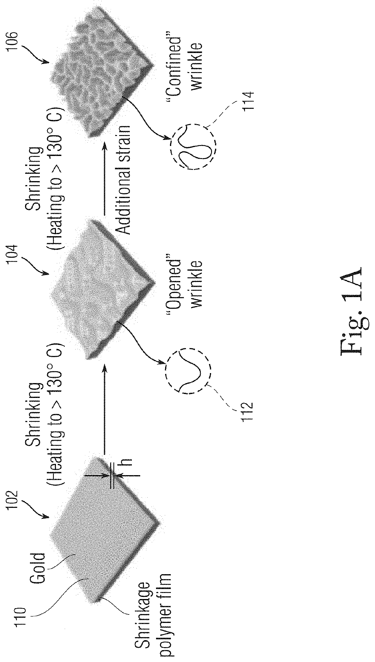 Hierarchical wrinkle film for the catalytic reduction of carbon dioxide