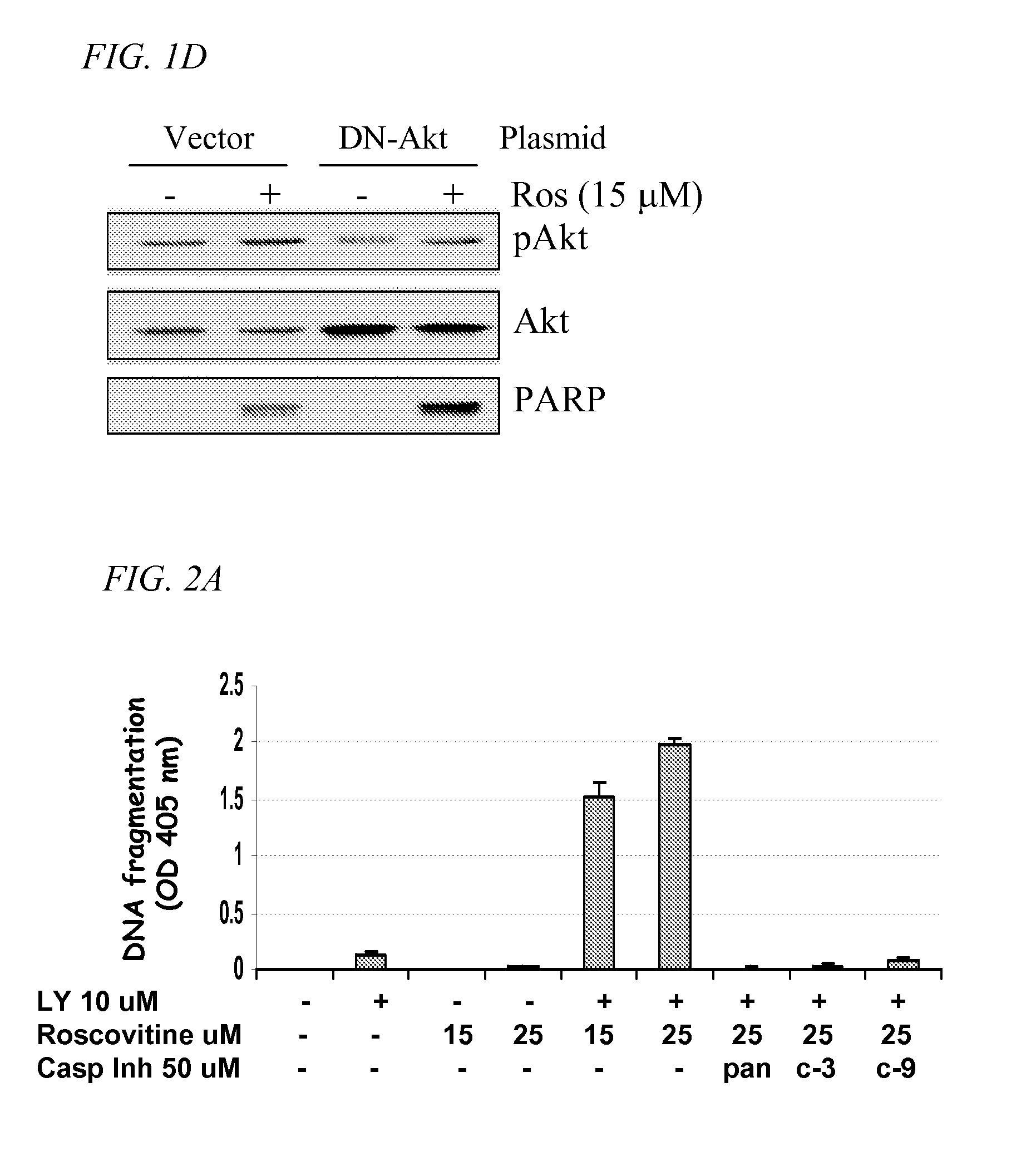 PI3K-Akt Pathway Inhibitors