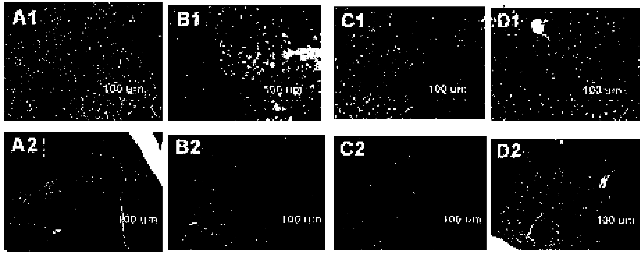 Composition with functions of dispelling effects of alcohol and protecting liver and beverage comprising composition