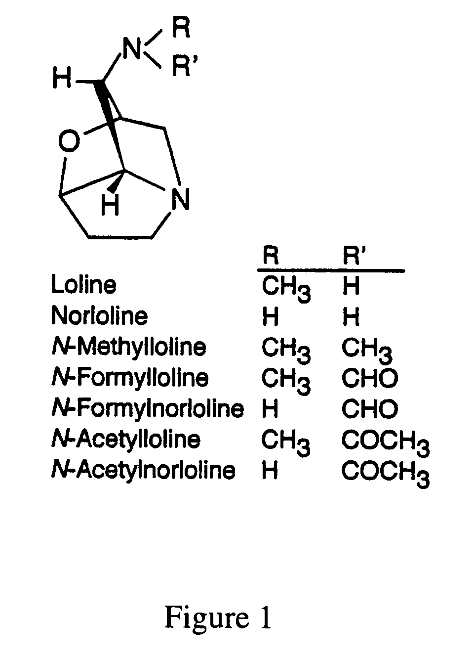 Loline alkaloid gene clusters of the fungal endophyte neotyphodium uncinatum