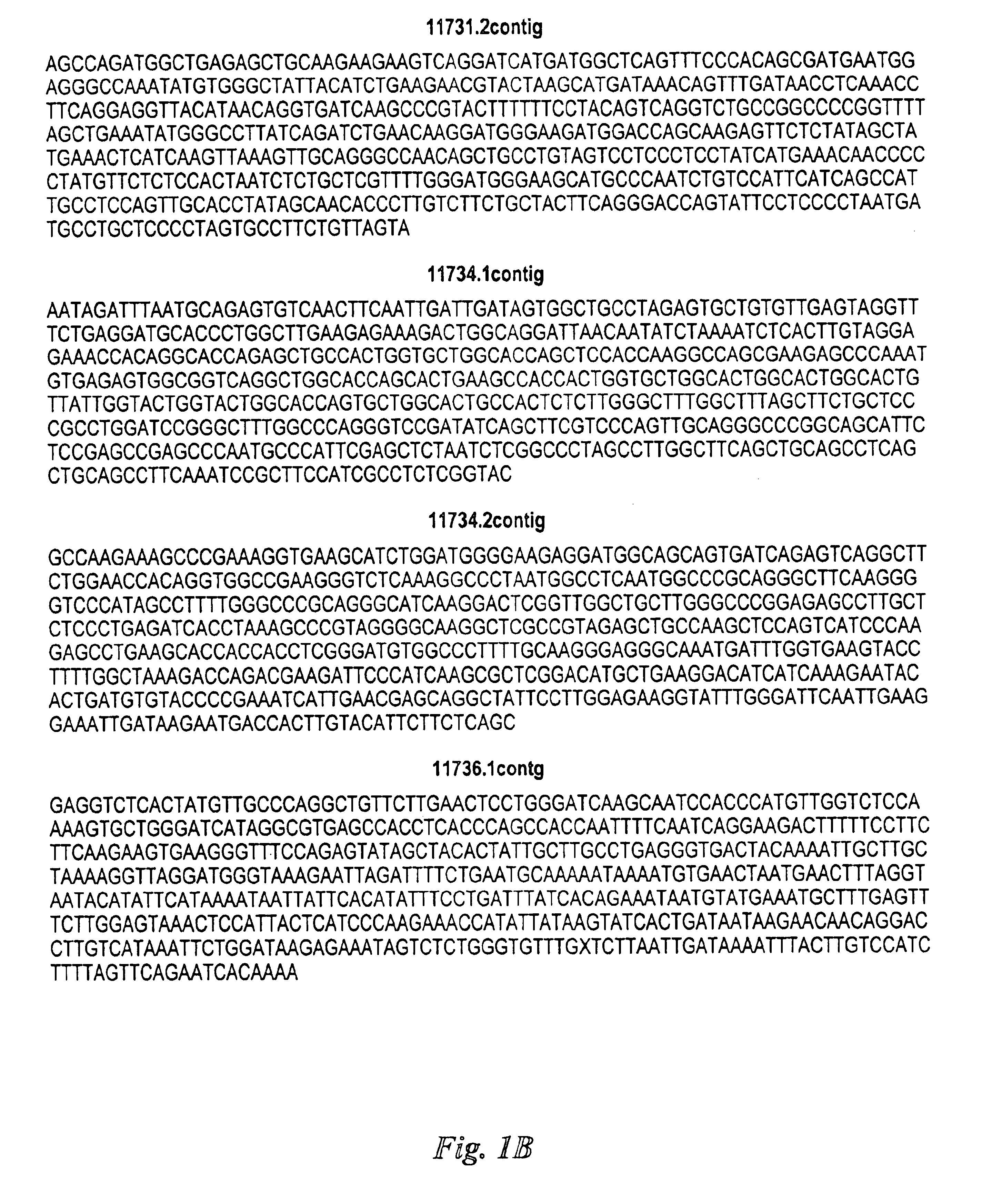 Compositions and methods for the therapy and diagnosis of ovarian cancer