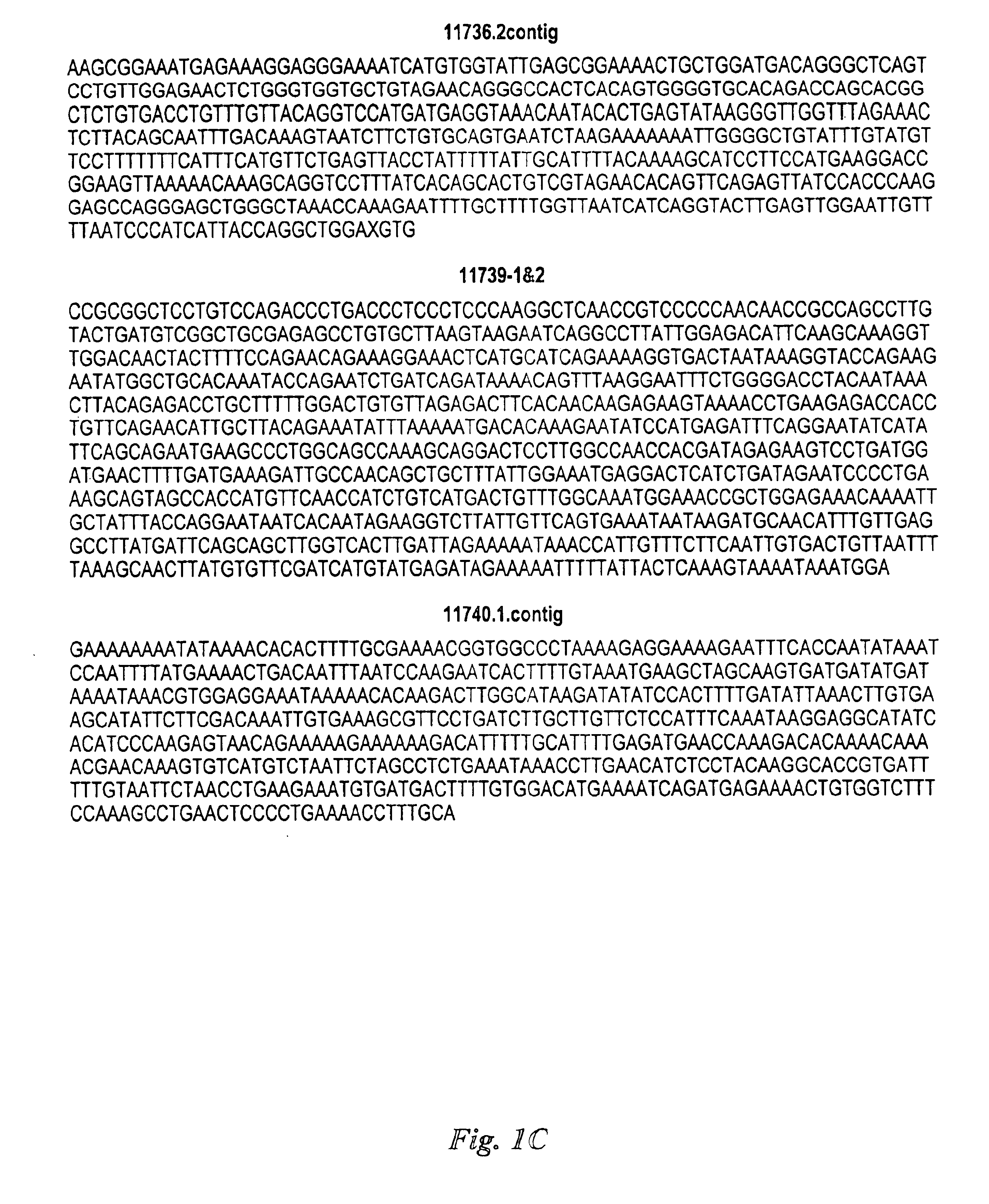 Compositions and methods for the therapy and diagnosis of ovarian cancer