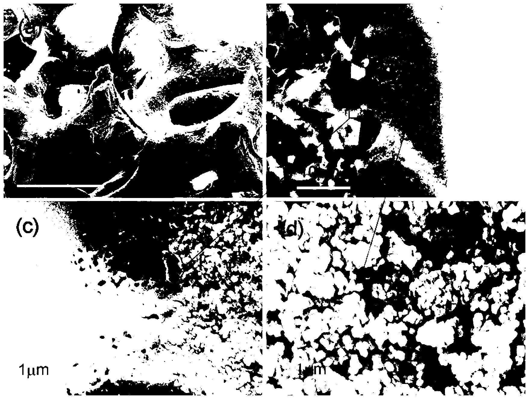 Porous silicon-carbide carrier surface gradient pore molecular sieve coating and preparation method thereof