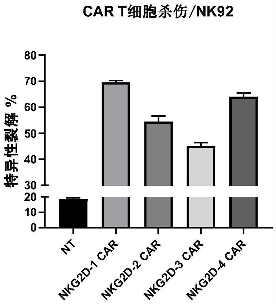 Chimeric antigen receptor targeting NK activated receptor