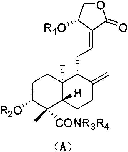 Andrographolide-19-amide derivative, preparation method and its use in medicine