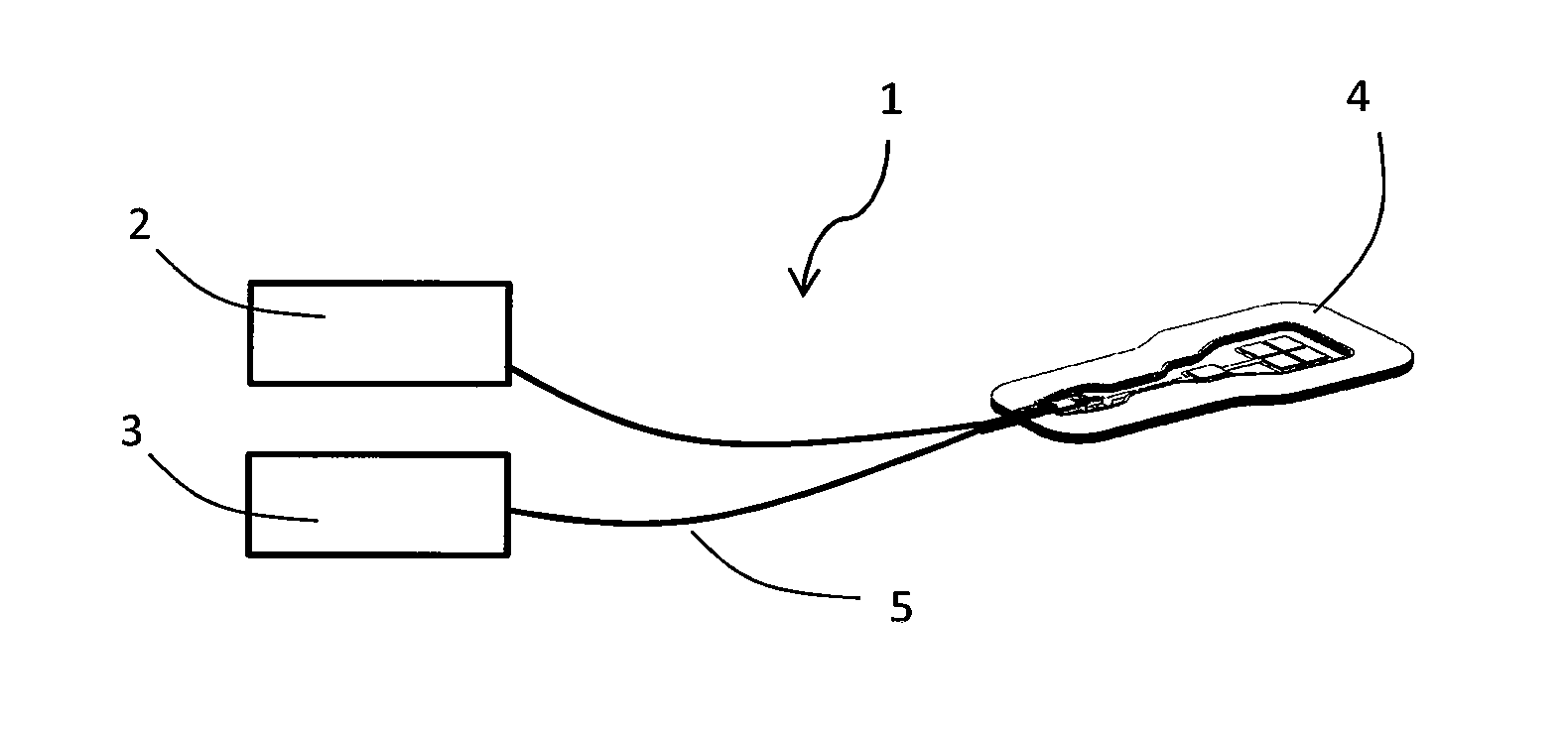 Measurement system and method for measuring parameters in a body tissue