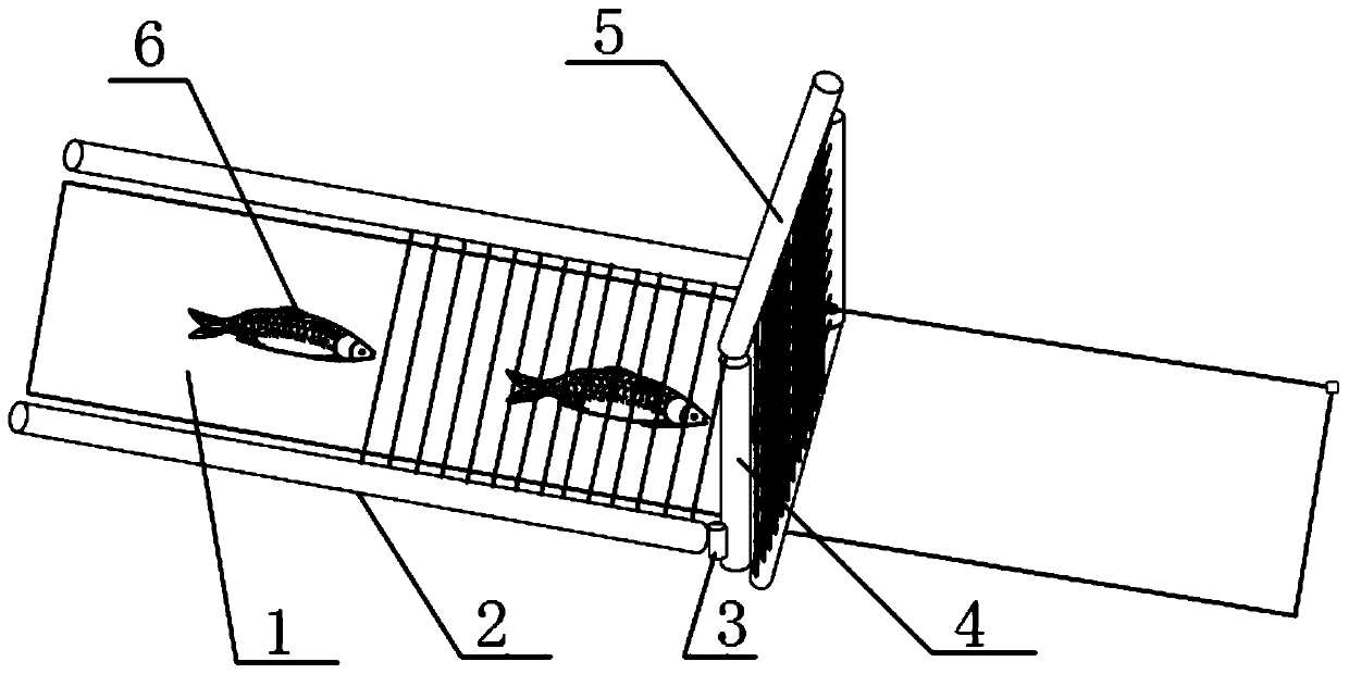 Grass carp vaccine identification and continuous automatic injection method and device thereof