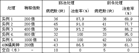 Soluble concentrate of fructus isopsoraleae chalcone and preparation method of same