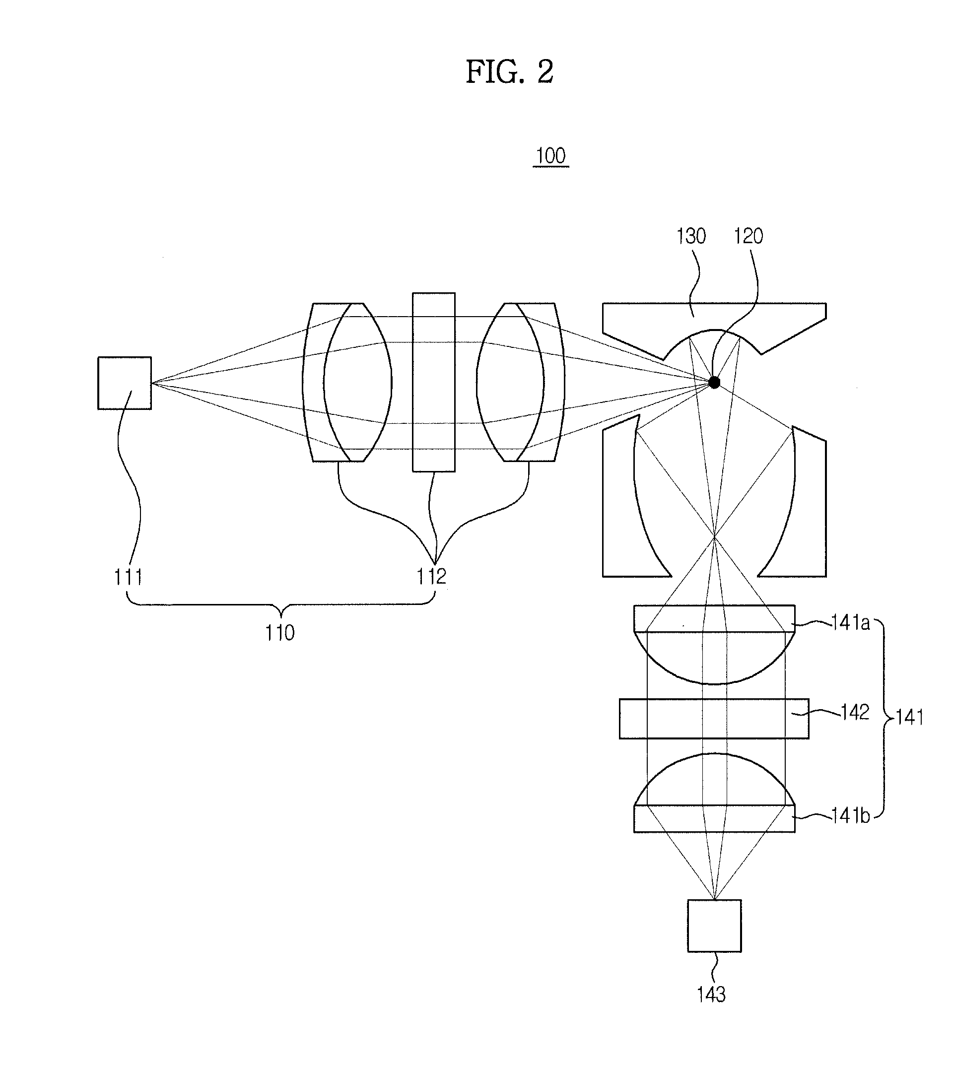 Microorganism detection apparatus