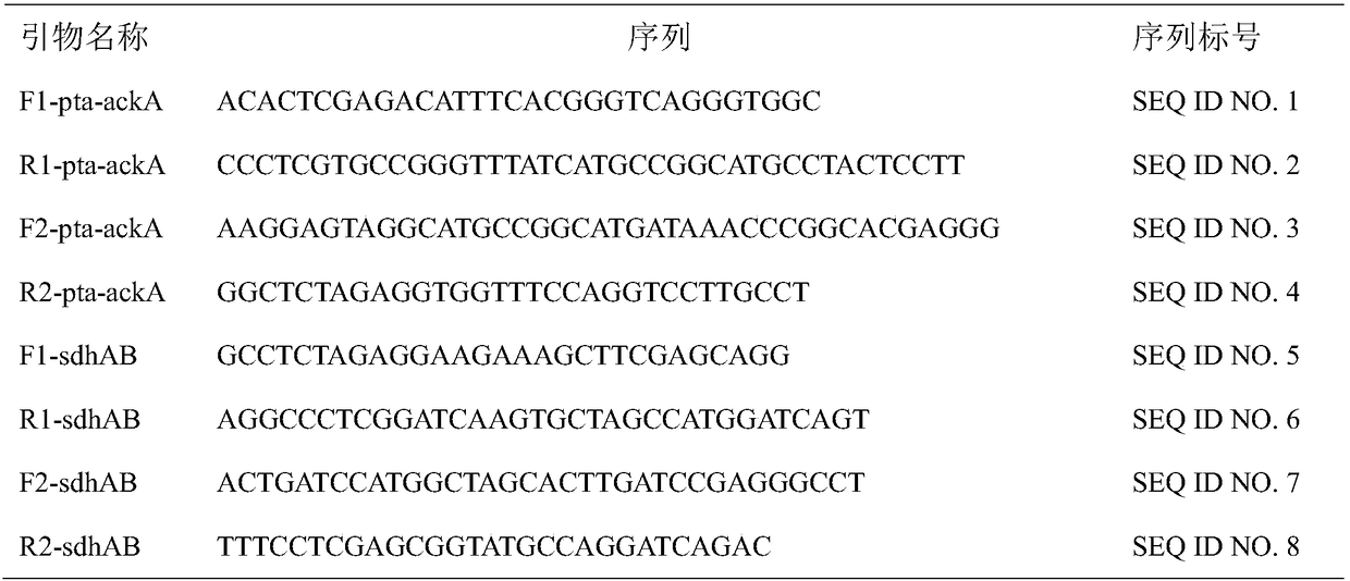 Metabolic engineering pseuomonas denitrifican for producing succinic acid as well as construction method and application of pseuomonas denitrifican