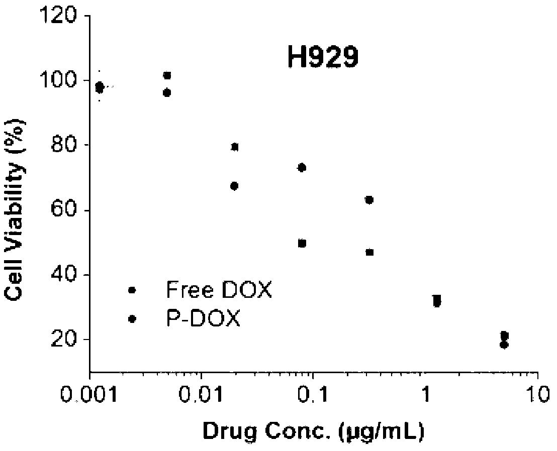 Tree-like polymer nanometer drug delivery carrier targeting doxorubicin and its preparation method