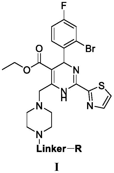 Dihydropyrimidine-pomalidomide conjugate as well as preparation method and application thereof