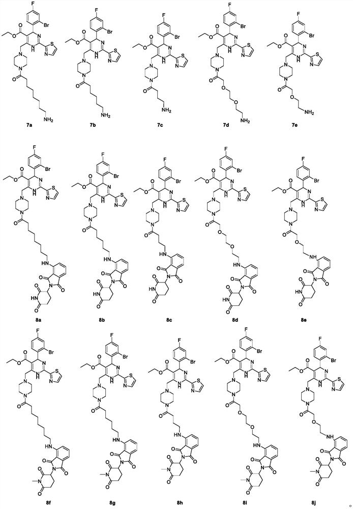 Dihydropyrimidine-pomalidomide conjugate as well as preparation method and application thereof