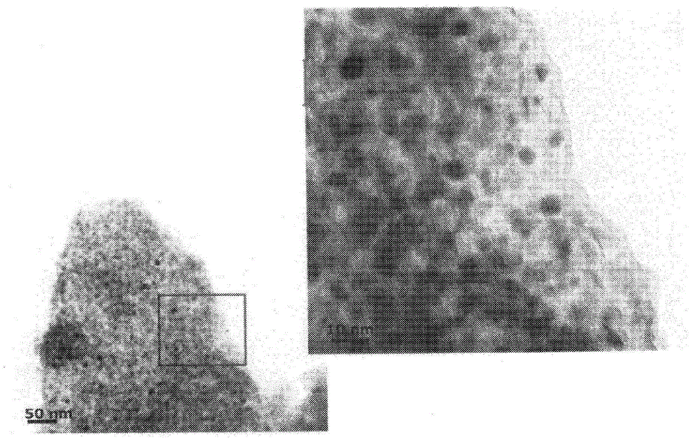 Metal nanoparticle complex and method for producing same