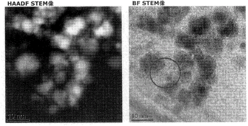 Metal nanoparticle complex and method for producing same