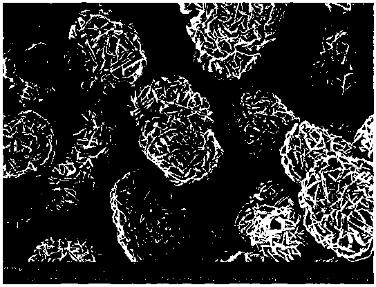 Cathode material, preparation method of cathode material, and lithium ion battery