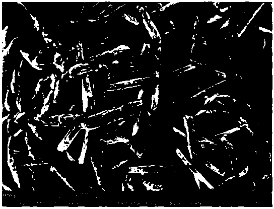 Cathode material, preparation method of cathode material, and lithium ion battery