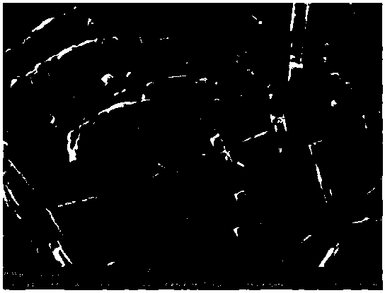 Cathode material, preparation method of cathode material, and lithium ion battery