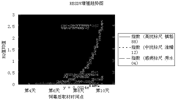 A molecular identification method for rice black-streaked dwarf resistance