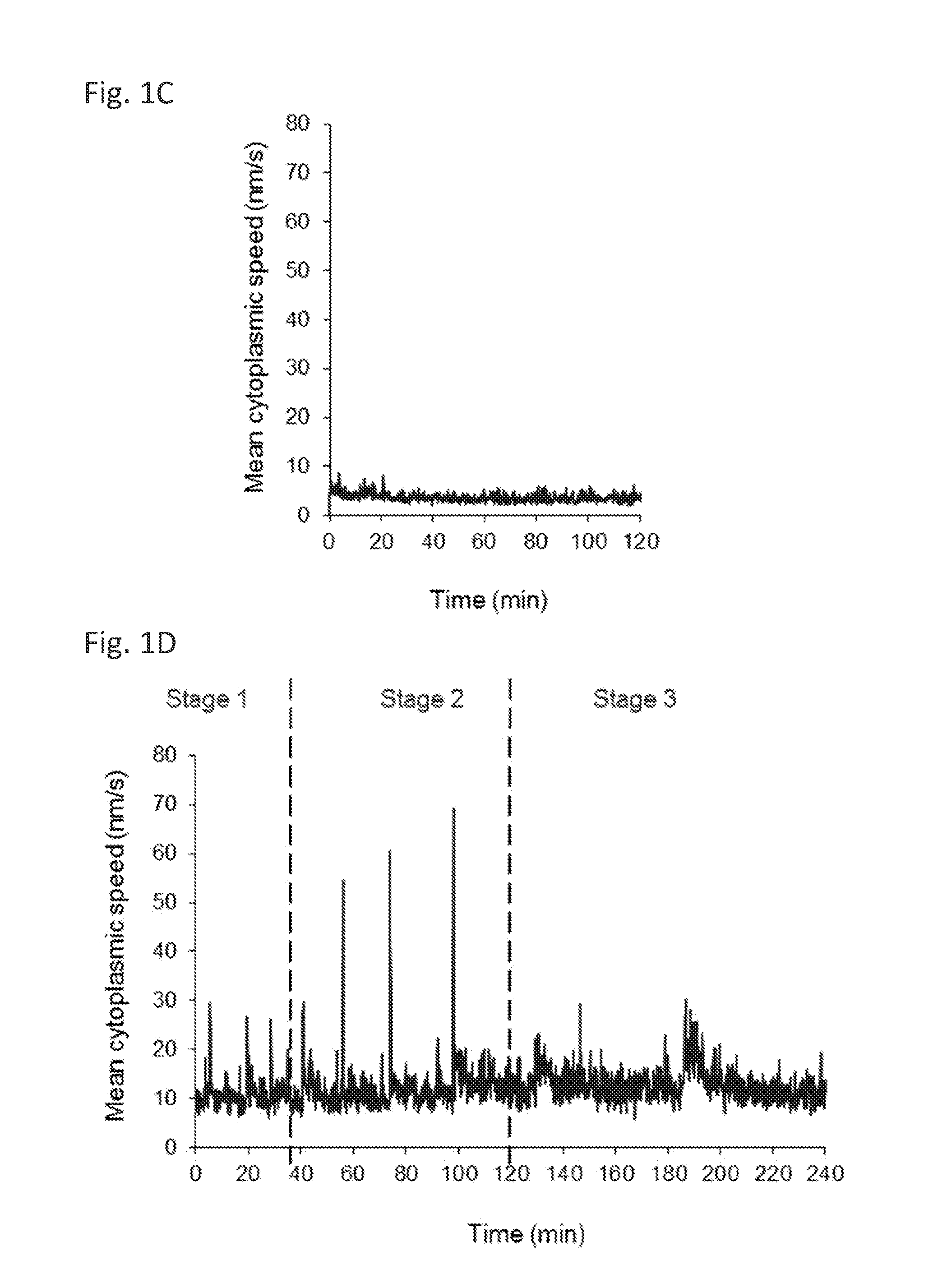 Methods for predicting mammalian embryo viability