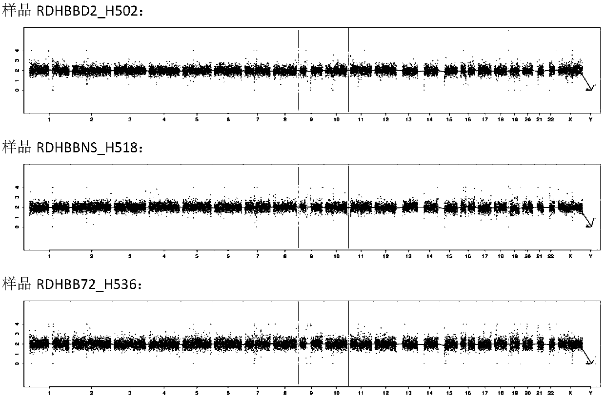 Method and kit for constructing sequencing library for simultaneously realizing genome copy number variation detection and gene mutation detection