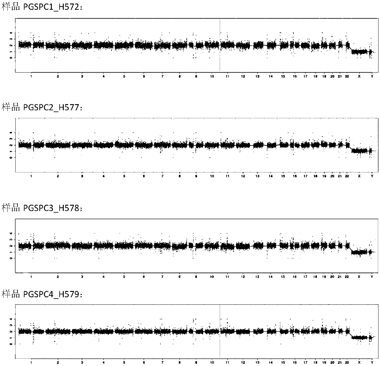 Method and kit for constructing sequencing library for simultaneously realizing genome copy number variation detection and gene mutation detection