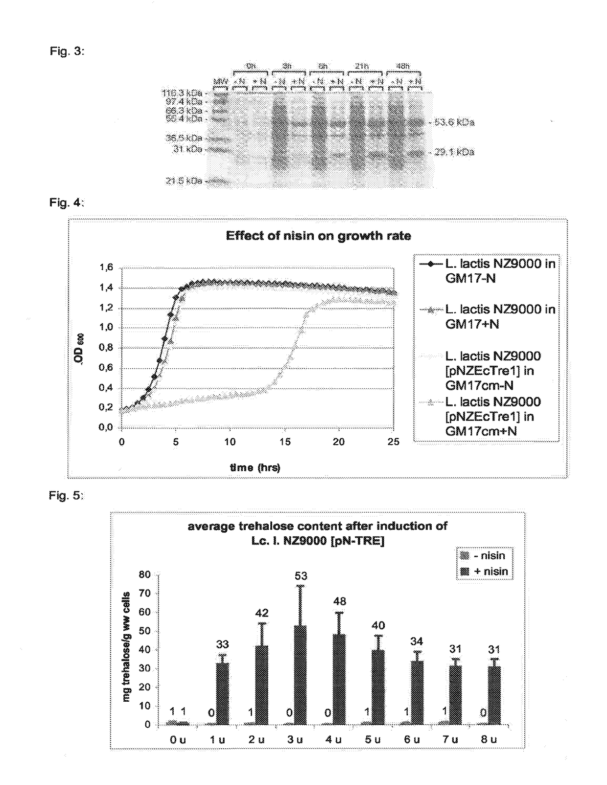 Method to improve lactococcus preservation