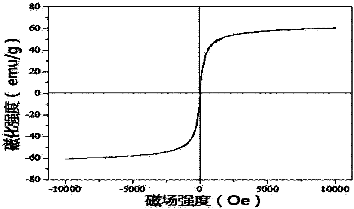 Blood brain barrier-crossing magnetic nano drug carrier and preparation method thereof