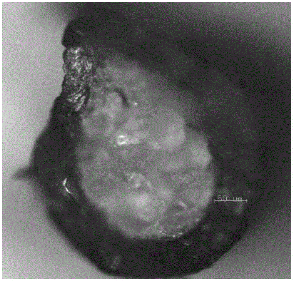 Solid-solid phase-change composite fiber with skin-core structure and online cross-linked core layer and preparation method of solid-solid phase-change composite fiber