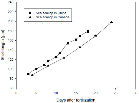 Interspecific hybridization and propagation method for deep sea scallops and chlamys farreri