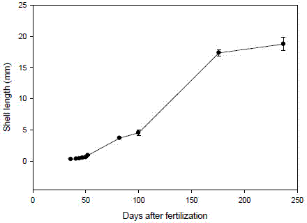 Interspecific hybridization and propagation method for deep sea scallops and chlamys farreri