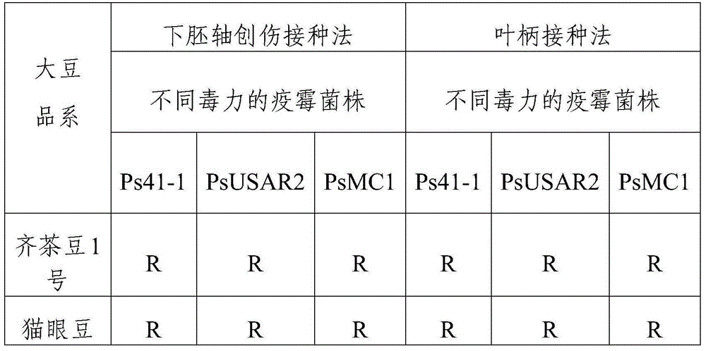 Method for identifying resistance of soybeans to soybean phytophthora blight and application of method in breeding