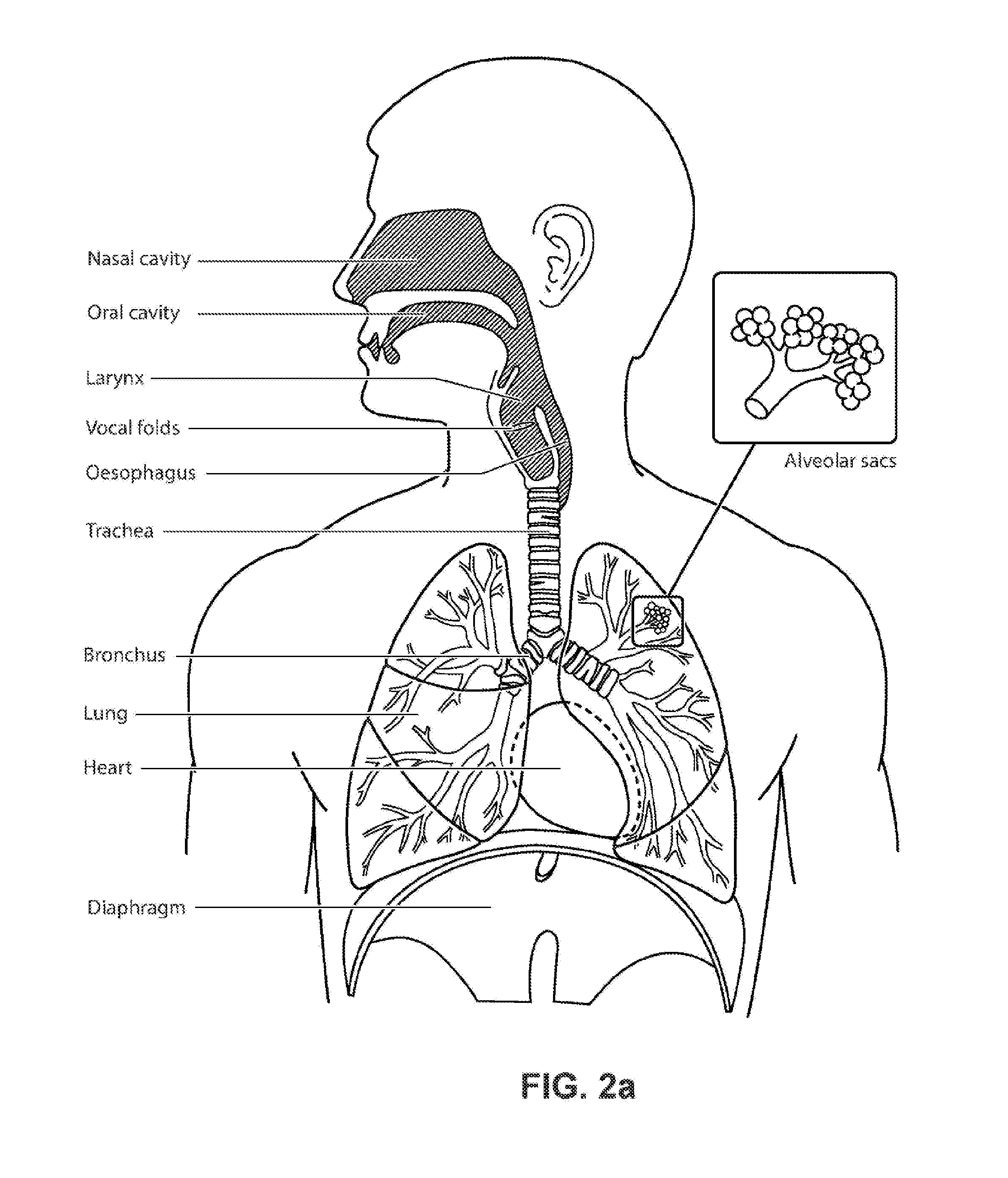 A patient interface system for treatment of respiratory disorders