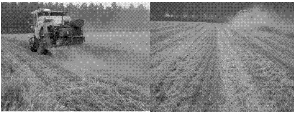 Annual yield increase cultivation method of wheat and maize in Huang-Huai-Hai southern region