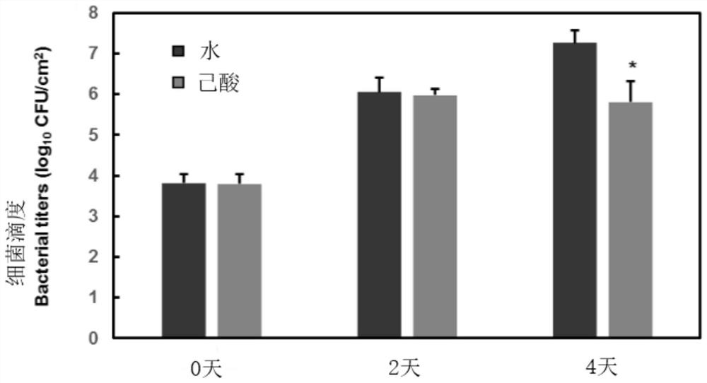 Application of caproic acid in inducing resistance of arabidopsis thaliana to Pst DC3000 and method thereof