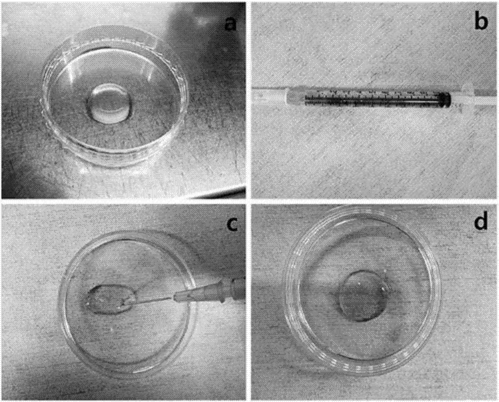 Composition containing mesenchymal stem cell-hydrogel and method for producing the composition