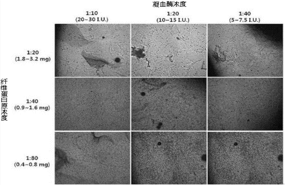 Composition containing mesenchymal stem cell-hydrogel and method for producing the composition