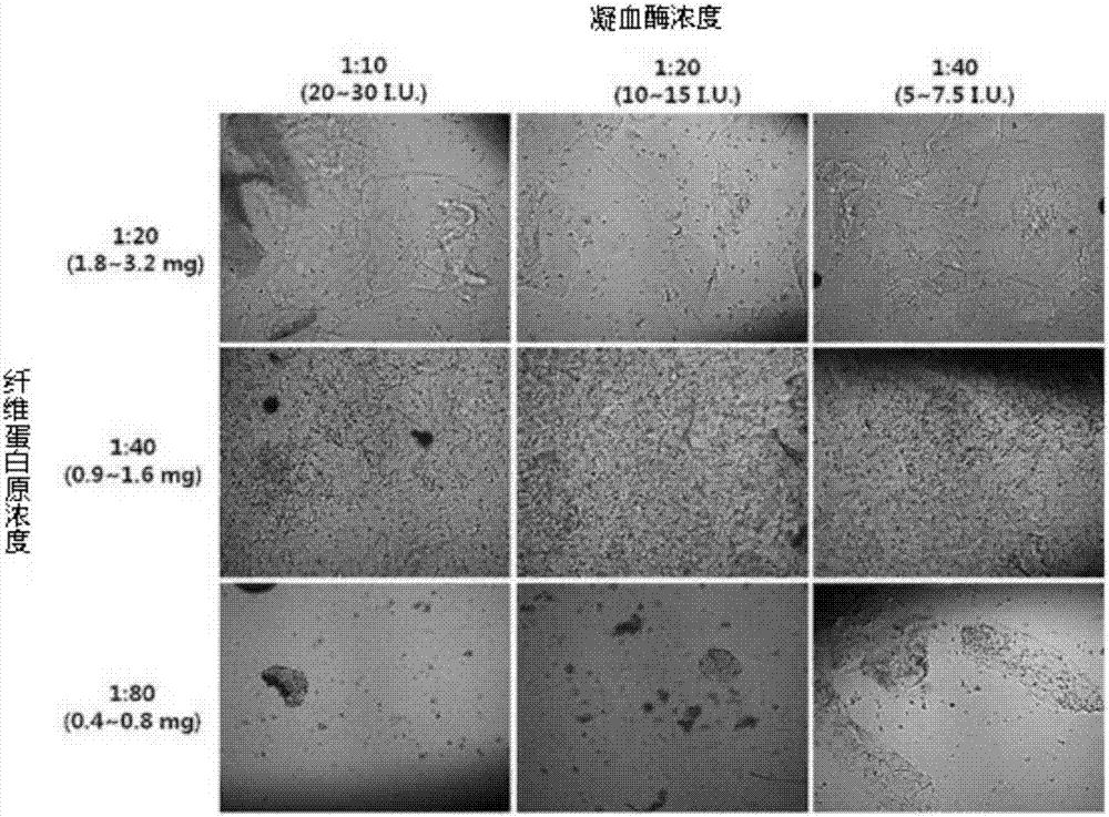 Composition containing mesenchymal stem cell-hydrogel and method for producing the composition